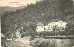 * T2/T3 1918 Herkulesfürdő, Herkulesbad, Baile Herculane;  Cserna Részlet, Nyaraló / Cerna Riverside, Villa - Non Classés