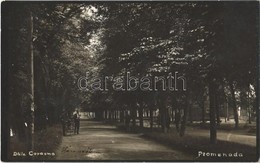 * T2 Kovászna-fürdő, Baile Covasna; Promenada / Sétány / Promenade, Photo - Non Classés