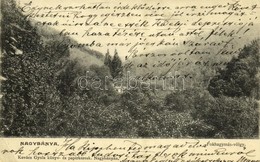 T2/T3 1908 Nagybánya, Baia Mare; Fokhagymás Völgy. Kovács Gyula Kiadása / Valley (EK) - Ohne Zuordnung