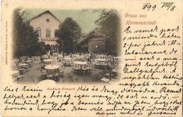 T2/T3 1899 Nagyszeben, Hermannstadt, Sibiu; Erlen Parki Cukrászda és Kávéház / Conditorei / Confectionery And Cafe (EK) - Ohne Zuordnung