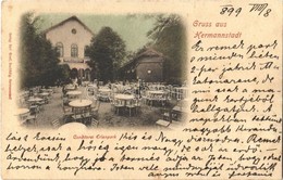 T2/T3 1899 Nagyszeben, Hermannstadt, Sibiu; Erlen Parki Cukrászda és Kávéház / Conditorei / Confectionery And Cafe (EK) - Non Classés