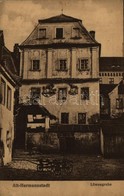 T2/T3 1918 Nagyszeben, Alt-Hermannstadt, Sibiu; Löwengrube / Villa (EK) - Non Classés