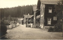 ** T1 Szebenjuharos, Hohe Rinne, Paltinis; Karpathen Verein Gyógyháza, üdülőházak / Spa Villas. Fot. Orig. E. J. Fischer - Ohne Zuordnung