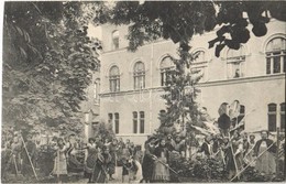 ** T1/T2 Temesvár, Timisoara; Józsefváros, Iskola Nővérek Intézete, Kert / Iosefin, Girl School, Garden - Ohne Zuordnung