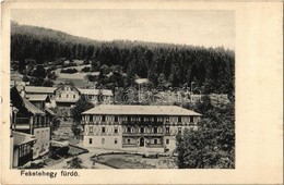 T2 1906 Feketehegy-fürdő, Cernohorské Kúpele (Merény, Nálepkovo); Nyaralók / Villas - Autres & Non Classés