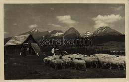 * T2/T3 1948 Tátra, Vysoké Tatry; Pod Strbskym Stítom, Kriván, Solisko, Patria / Csorbai-csúcs, Kriván, Szoliszkó, Pátri - Autres & Non Classés