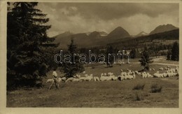 * T2/T3 Tátra, Vysoké Tatry; Juhász A Nyájával / Shepherd With His Sheep, Folklore (ragasztónyom / Gluemark) - Autres & Non Classés