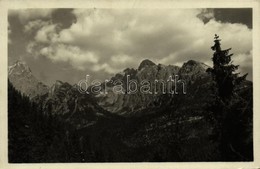 T2 1950 Tátra, Vysoké Tatry; Malá Studenovodská Dolina / Kis-Tarpataki-völgy / Valley - Autres & Non Classés