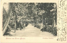 T2/T3 1902 Turnu Severin, Szörényvár; Gradina Publica / Park  (EK) - Autres & Non Classés