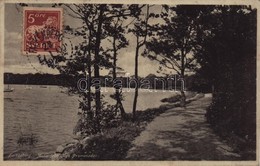 T2 1925 Falkenberg, Motiv Fran Nya Promenaden / Promenade, Sailboats. TCV Card - Autres & Non Classés