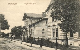 * T2 Drohobych, Drohobycz; Wojtowska Góra / Street View With Villas - Autres & Non Classés