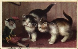 T2/T3 Streitlustig / Cats With Puppet. B.K.W.I. 354-3. - Non Classés