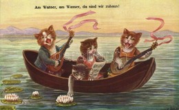 ** T2/T3 Am Wasser, Am Wasser, Da Sind Wir Zuhaus! / Cats In A Boat Playing On Musical Instruments. B.K.W.I. 676-1. S: C - Sin Clasificación