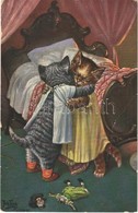 T2/T3 Cats. 'In Kittendom' Boo-oo-o, I've No Dolly Now. Raphael Tuck & Sons Oilette Postcard 4091. S: Arthur Thiele  (EK - Unclassified