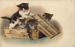 * T2 Cats. A & M.B. No. 11. Litho - Sin Clasificación