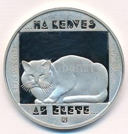 1985. 200Ft Ag 'Természetvédelem II. - Vadmacska' Jelzett Próbaveret T:PP Fo. 
Hungary 1985. 200 Forint Ag 'Enviroment P - Ohne Zuordnung