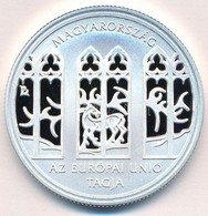 2004. 5000Ft Ag 'Magyarország Az Európai Unió Tagja'  T:PP Adamo EM190 - Ohne Zuordnung