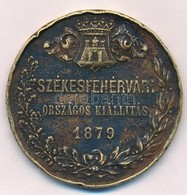 1879. 'Székesfehérvári Országos Kiállítás' Aranyozott Br Emlékérem (50mm) T:2,2- Ph. Kopott Aranyozás - Ohne Zuordnung