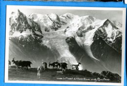 OLI222, Leysin Plan Praz, Massif Du Mont-Blanc, Chèvre, Goat, Ziege, 2595, édit. GIL, Non Circulée - La Praz