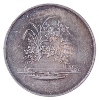 Német Államok / Köln 1865. 'Általános Mezőgazdasági Kiállítás' Jelzetlen Ag Emlékérem (ANUGA Kiállítás Elődje) (36g/41mm - Ohne Zuordnung