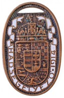 Zutt Richard (1887-1938) 1914. 'Hadsegélyező' Ovális Br Medál, Részben Zománcozott, Fehér Zománc (53x33mm) T:2 
Hungary  - Other & Unclassified