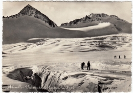 ADAMELLO - VEDRETTA DEL MANDRONE - TRENTO - BRESCIA - 1955 - Alpinisme