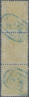 China: 1888, Customs Small Dragon Issue, 5cds Vertical Stripe Of Three, Used With Blue Tientsin Mark - Sonstige & Ohne Zuordnung