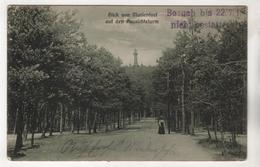 +3622, Feldpost, Blick Von Marienlust Auf Den Aussichtsturm, Berlin - Guerra 1914-18