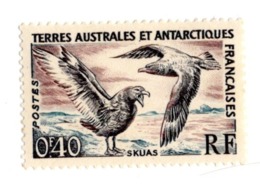 TAAF TF 15   1959 Brown Skua Stercorarius Antarcticus Animaux Faune | Oiseaux - Usados