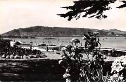 Delcampe - 22 - TREBEURDEN - Le Port - Trébeurden