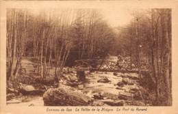 Delcampe - Environs De SPA - La Vallée De La Hoëgne.  Le Pont Du Renard - Spa