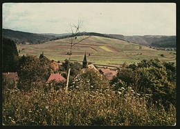 Erbach I. Odenwald  -  DJH Spendenkarte  -  Ansichtskarte Ca.1975    (12081) - Erbach