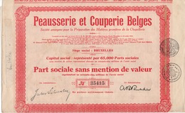 PEAUSERIE ET COUPERIE BELGES - CHAPELLERIE - PART SOCIALE - BRUXELLES - 1928. - Industrie