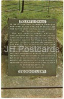 Beddgelert - Gelert' S Grave - PT24463 - 1970 - United Kingdom - Wales - Used - Caernarvonshire