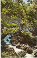 Betws-Y-Coed - Conway Falls - PT24229 - 1970 - United Kingdom - Wales - Used - Caernarvonshire