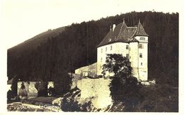 Carte  POSTALE  Ancienne De   VALANGIN, Le Château - Valangin