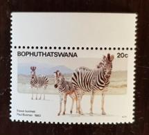 BOPHUTHATSWANA Zebre, Chevaux, Cheval,  Equidés 1 Valeur En 1983  ** MNH - Pferde