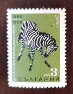 BULGARE Zebre, Chevaux, Cheval,  Equidés 1 Valeur   ** MNH - Horses