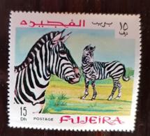 FUJEIRA Zebre, Chevaux, Cheval,  Equidés, Equidé , 1 Valeur ** MNH - Pferde