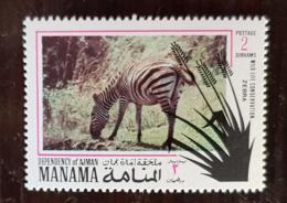 MANAMA Zebre, Chevaux, Cheval, Equidés, Equidé , 1 Valeur ** MNH - Paarden