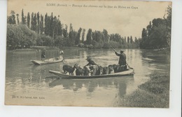 LOIRE SUR RHONE - Passage Des Chèvres Sur La Lône Du Rhône Au Capa - Loire Sur Rhone