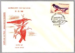 INDIAN BIRDS - YELLOW-BACKED SUNBIRDS. Bombay 1968 - Afstempelingen & Vlagstempels