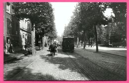 Dordrecht - Johan De Wittstraat Omstreeks 1910 - Tram Cheval - Hippomobile - Foto H. J. TOLLENS - Edit. KOOS VERSTEEG - Dordrecht
