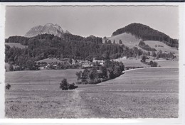 Le Pâquier-Montbarry Et Le Moléson - Le Pâquier