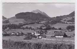 Le Pâquier, Vue Générale - Le Pâquier