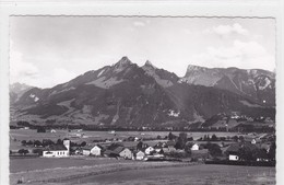 Le Pâquier, Vue Générale - Le Pâquier