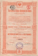 VERRERIES ET USINES CHIMIQUES DU DONETZ - ACTION DE CAPITAL - SANTOURINOVKA - 27 NOVEMBRE 1919. - Industrie