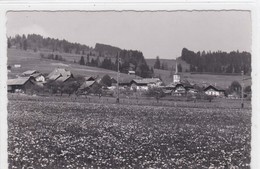 Le Pâquier, Vue Générale - Le Pâquier