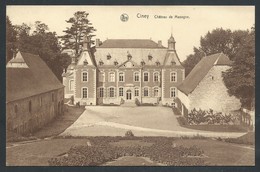 Delcampe - +++ CPA - CINEY - Château De MASOGNE - Nels  // - Ciney