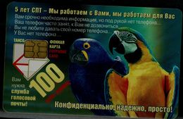 RUSSIA 2000 PHONECARD BIRDS PARROTS USED VF!! - Loros